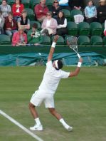 Del Potro- big serve- Wimbledon Tennis 2011